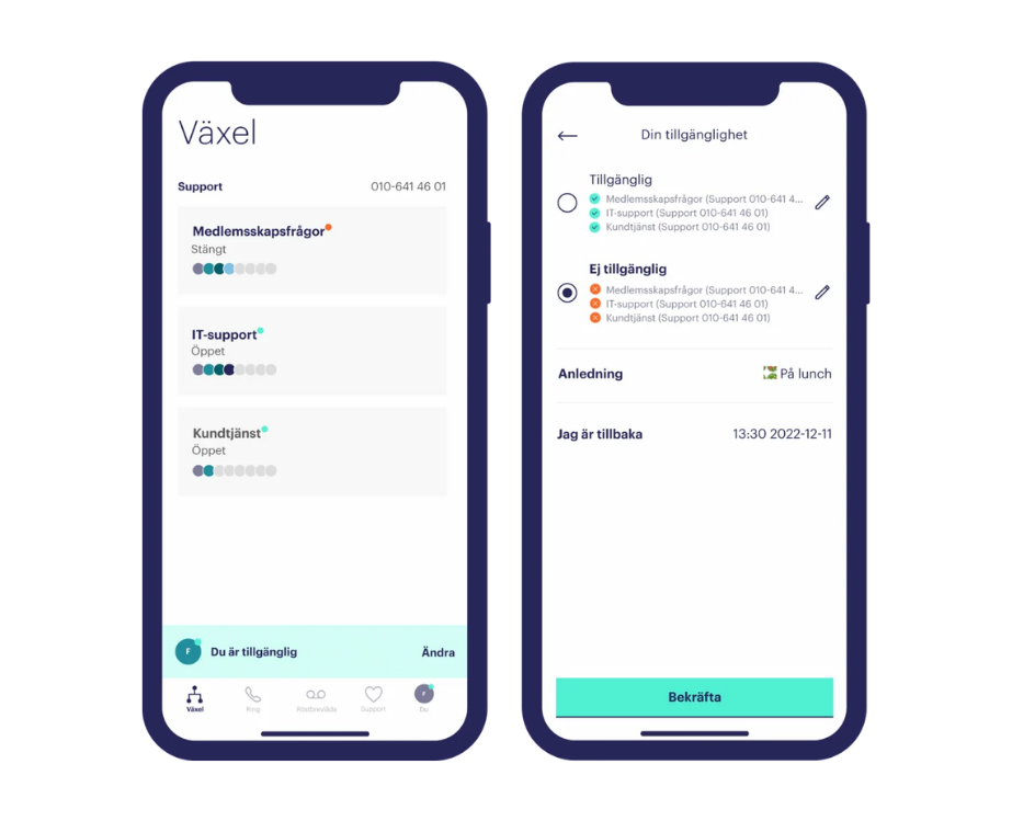 Professionellt fastnummer